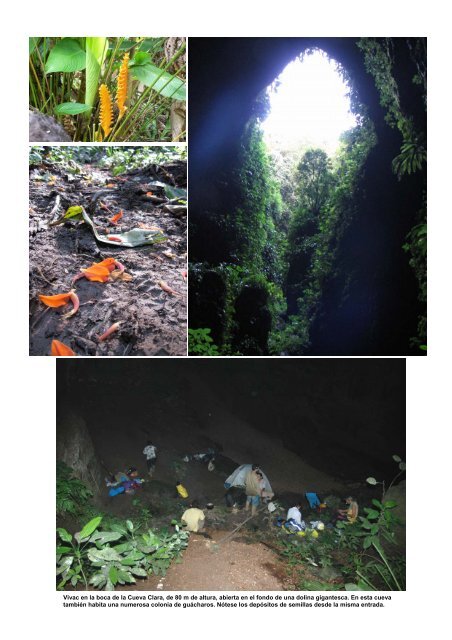 Cueva Grande de Anton Göering Ecología, Biomasa y - Aranzadi