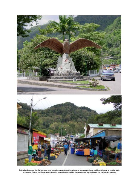 Cueva Grande de Anton Göering Ecología, Biomasa y - Aranzadi