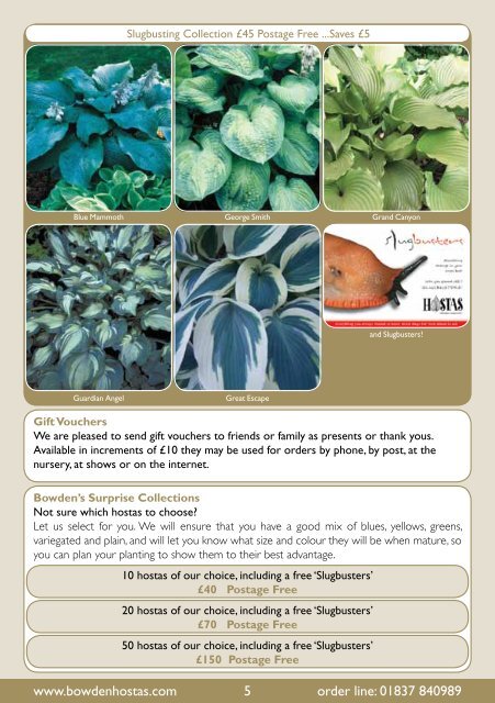 Spring Catalogue 2013 - Bowden Hostas