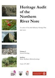 Heritage Audit of the Northern River Nore - Kilkenny County Council