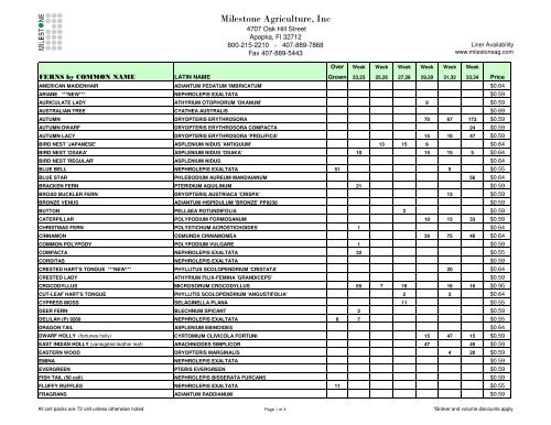 Ferns Availability - Milestone Agriculture Inc