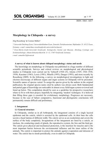 Morphology in Chilopoda – a survey - Senckenberg