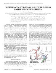 INVERTEBRATE CAVE FAUNA OF KARTCHNER CAVERNS ...