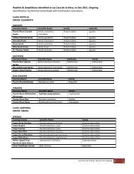 Species Lists - Eye On The Rainforest