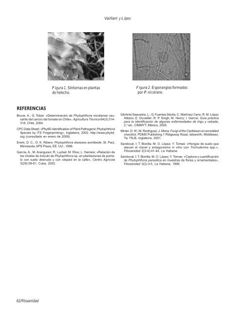 Phytophthora nicotianae Brenda de Haan en la especie - Instituto de ...