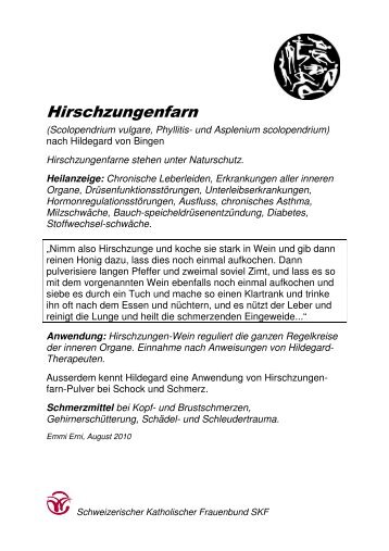 Hirschzungenfarn - SKF