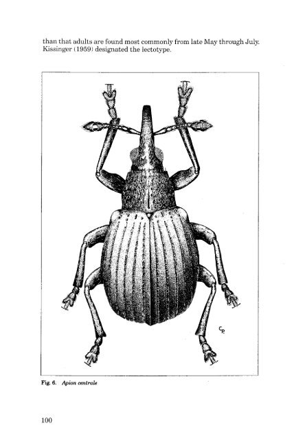 Weevils - Entomological Society of Canada