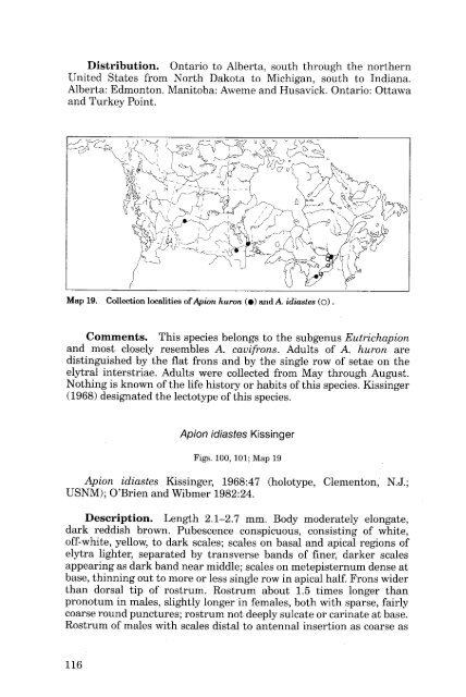 Weevils - Entomological Society of Canada