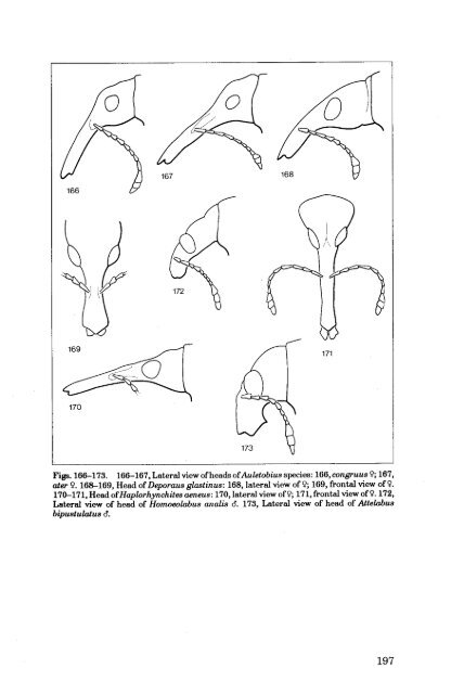 Weevils - Entomological Society of Canada