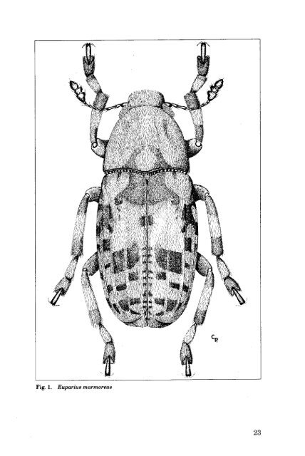 Weevils - Entomological Society of Canada