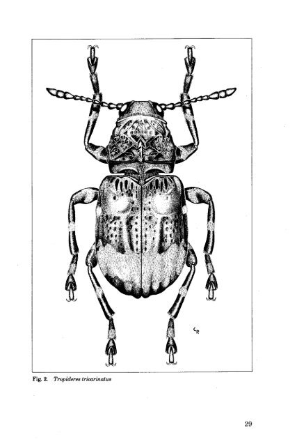 Weevils - Entomological Society of Canada