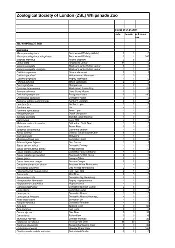 7 Whipsnade January 2011.xlsx - Zoological Society of London