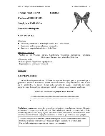 Trabajo Práctico Nº 10 PARTE I Phylum ARTHROPODA Subphylum ...