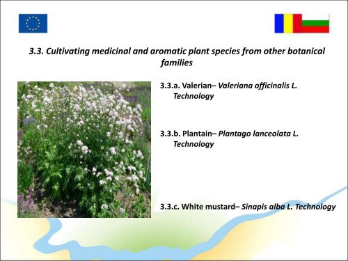 course technologies for growing medicinal and aromatic plants