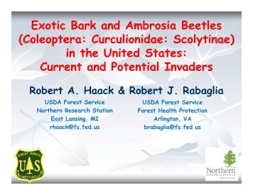 Exotic Bark and Ambrosia Beetles (Coleoptera: Curculionidae ...