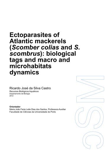 Ectoparasites of Atlantic mackerels (Scomber colias and S ...