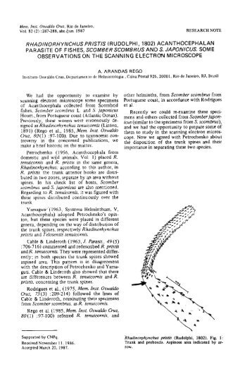 rhadinorhynchus pfhstis (rudolphi, 1802) acanthocephalan parasite ...