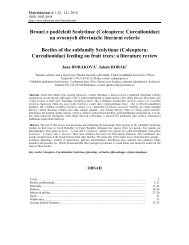 Brouci z podčeledi Scolytinae (Coleoptera ... - Elateridae