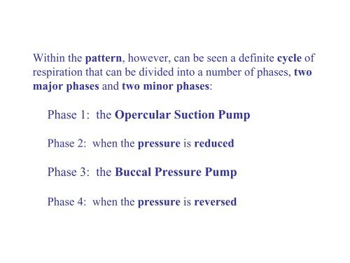 Respiration; buccal and opercular pumps