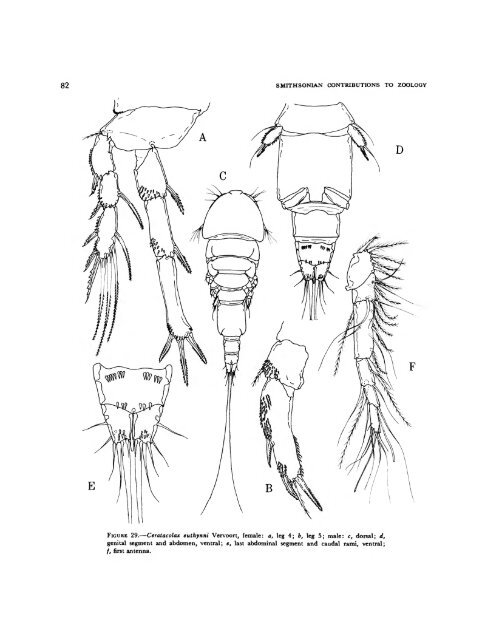 Parasitic Copepods of Mackerel - and Tuna-like Fishes (Scombridae ...