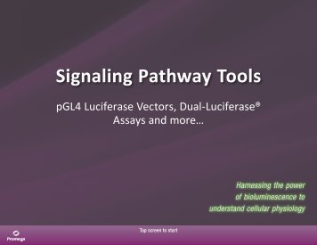 Signaling Pathway Tools - Promega