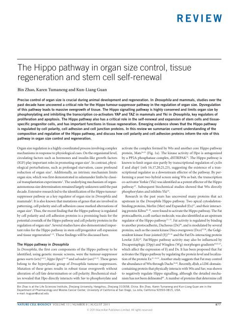 The Hippo Pathway In Organ Size Control, Tissue Regeneration And ...