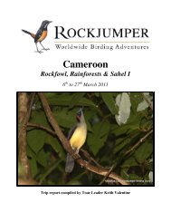 Cameroon - Rockjumper Birding Tours