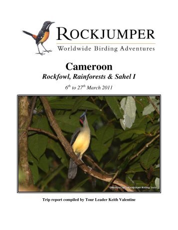 Cameroon - Rockjumper Birding Tours
