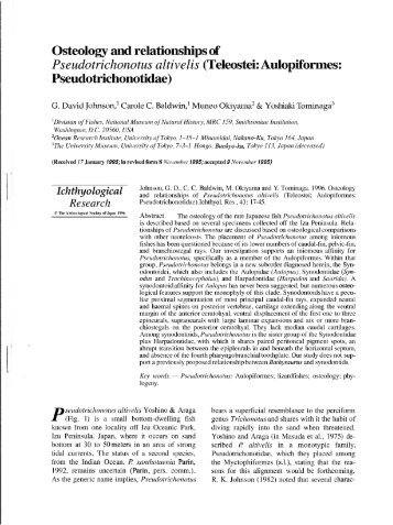 Osteology and relationships of Pseudotrichonotus altivelis (Teleostei ...