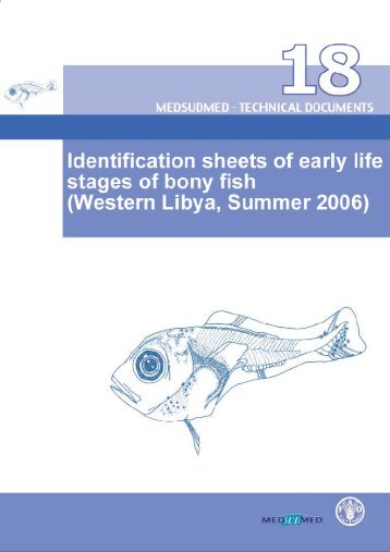 Preparation of this document - MedSudMed