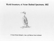 World inventory of avian skeletal specimens, 1982 - Oklahoma ...