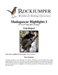 Madagascar Highlights I - Rockjumper Birding Tours