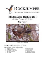 Download - Rockjumper Birding Tours