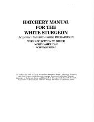 hatchery manual for the white sturgeon - Cramer Fish Sciences