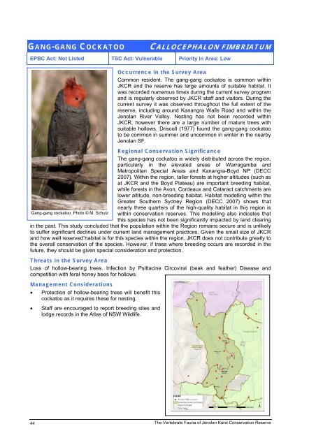 The Vertebrate Fauna of Jenolan Karst Conservation Reserve: Final