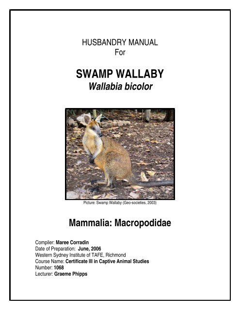 Swamp Wallaby - Nswfmpa.org