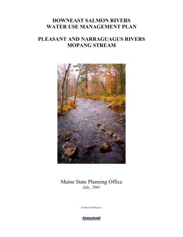 DOWNEAST SALMON RIVERS WATER USE ... - Maine.gov