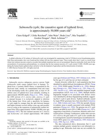 Salmonella typhi, the causative agent of typhoid fever - UCC MLST ...