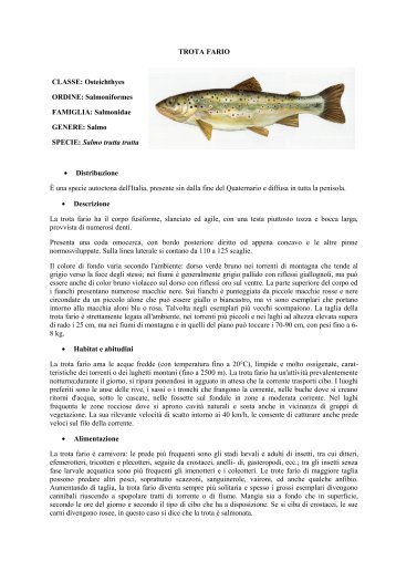 TROTA FARIO.pdf - Home | Ufficio Pesca della Provincia di Grosseto