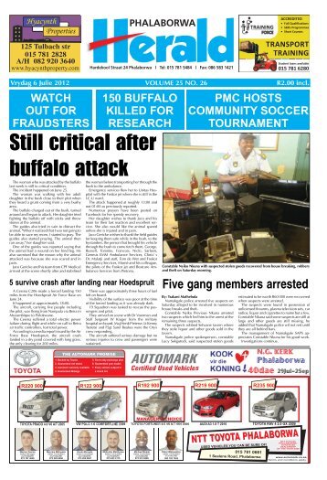 Still critical after buffalo attack - Letaba Herald