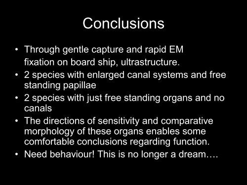 Octavo-lateralis system