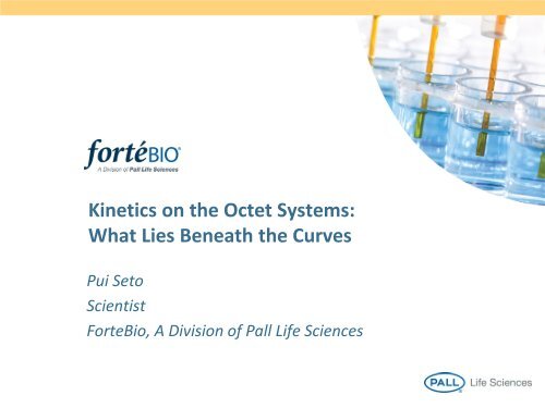Kinetics on the Octet Systems: What Lies Beneath the Curves