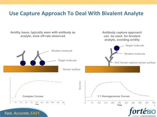 Bivalent Analyte Assumes