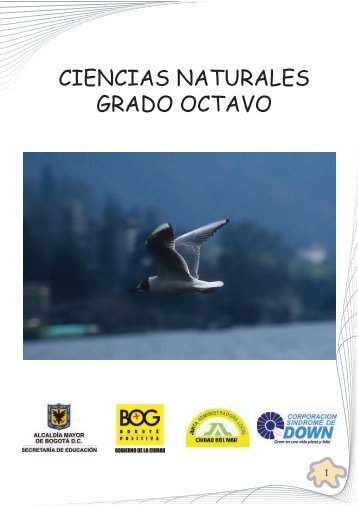 ciencias naturales grado octavo - Corporación Síndrome de Down