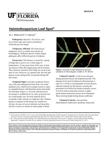 Helminthosporium Leaf Spot - EDIS - University of Florida