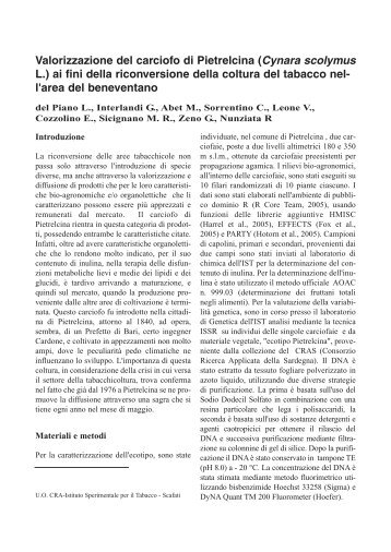 Valorizzazione del carciofo di Pietrelcina (Cynara scolymus L ... - Inea