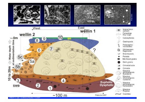 Géologie de la Belgique