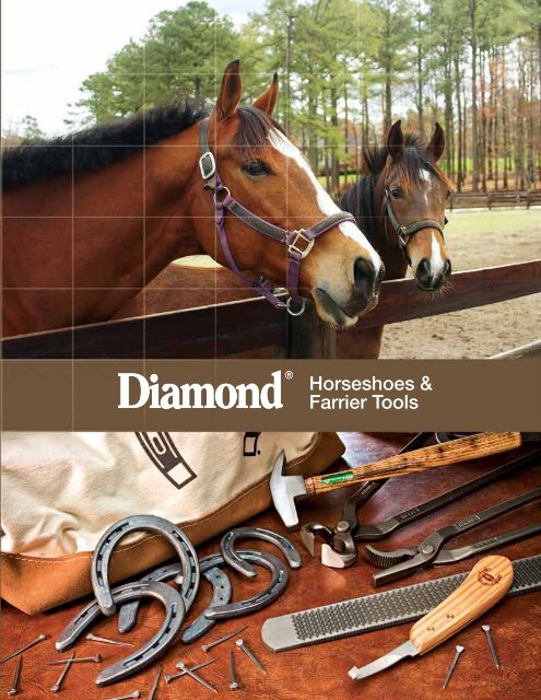 Horseshoes & Farrier Tools - Cooper Hand Tools