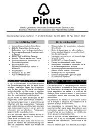 Pinus - G Plus