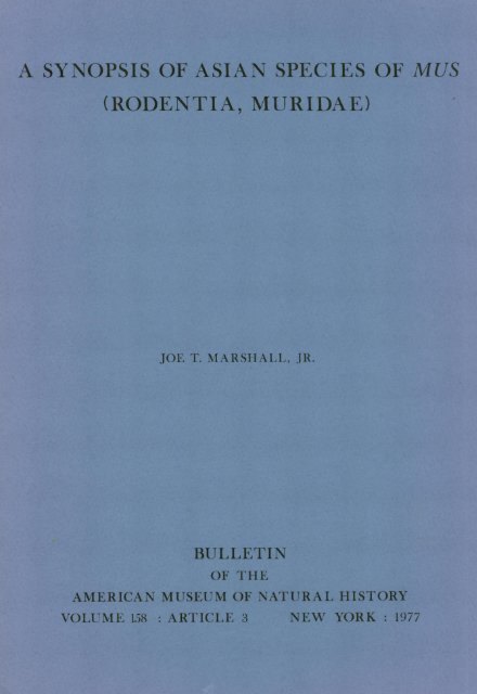 A SYNOPSIS OF ASIAN SPECIES OF MUS (RODENTIA, M\URIIDAE)